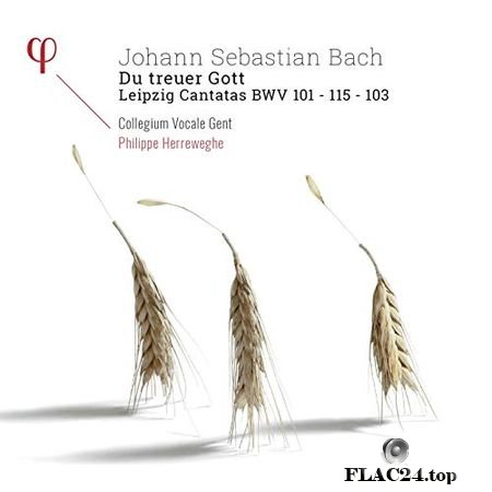 Collegium Vocale Gent, Philippe Herreweghe - Bach - Du treuer Gott - Leipzig Cantatas BWV 101 - 103 - 115 (2017) (24bit Hi-Res) FLAC