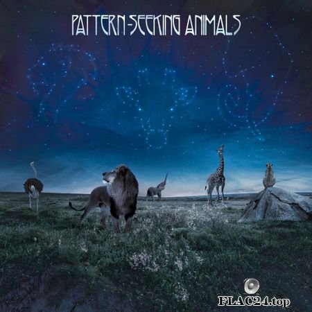 Pattern-Seeking Animals - Pattern-Seeking Animals (2019) (24bit Hi-Res) FLAC