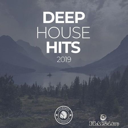 VA - Deep House Hits 2019 (2019) FLAC (tracks)