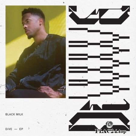 Black Milk – DiVE (2019) FLAC