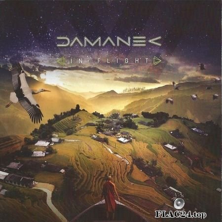 Damanek - In Flight (2018) FLAC (tracks + .cue)