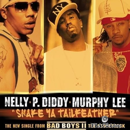 Nelly, P. Diddy & Murphy Lee - Shake Ya Tailfeather (2003) FLAC (tracks + .cue)