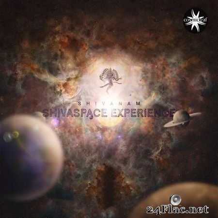 Shivanam - Shivaspace Experience (2019) FLAC (tracks)
