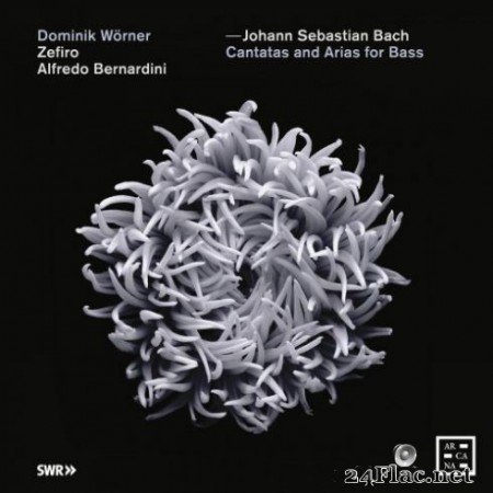 Alfredo Bernardini, Zefiro &#038; Dominik WГ¶rner &#8211; Bach: Cantatas and Arias for Bass (2019)