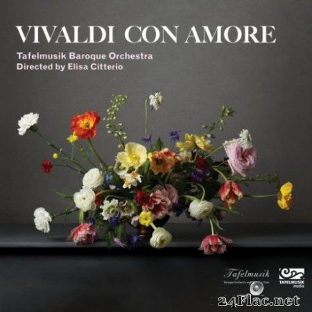Tafelmusik Baroque Orchestra &#8211; Vivaldi con amore (2019) Hi-Res