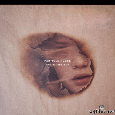 Particle House - Taste the Sun (2019) [FLAC (tracks)]