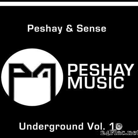 Peshay & Sense - Underground Vol.1 (2019) [FLAC (tracks)]