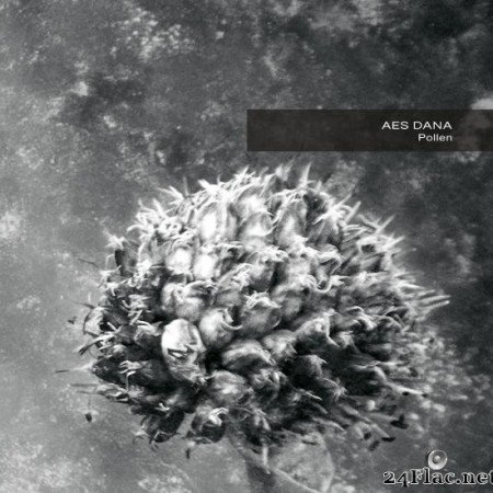 Aes Dana - Pollen (Remastered) (2017) [FLAC (tracks)]