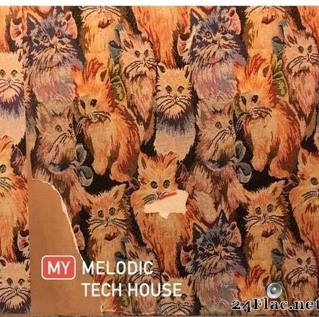 VA - My Melodic Tech House (2019) [FLAC (tracks)]