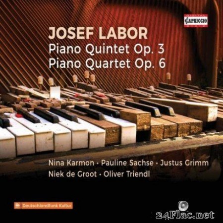 Justus Grimm, Nina Karmon, Oliver Triendl & Pauline Sachse - Labor: Piano Quintet in E Minor, Op. 3 & Piano Quartet in C Major, Op. 6 (2019)