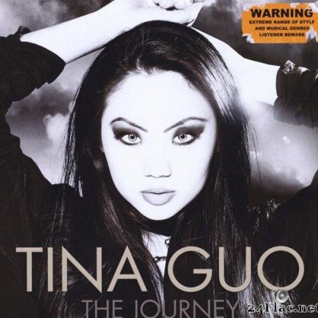 Tina Guo - The Journey (2011) [FLAC (tracks)]