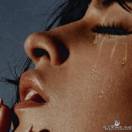 Camila Cabello - Cry for Me (2019) [FLAC (track)]