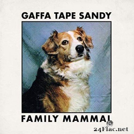 Gaffa Tape Sandy - Family Mammal (2019)