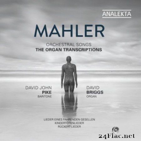 David John Pike & David Briggs - Mahler: Orchestral Songs - The Organ Transcriptions (2019)
