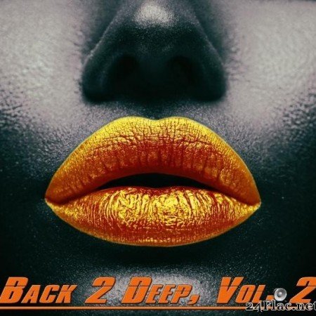 VA - Back 2 Deep, Vol. 2 (2019) [FLAC (tracks)]