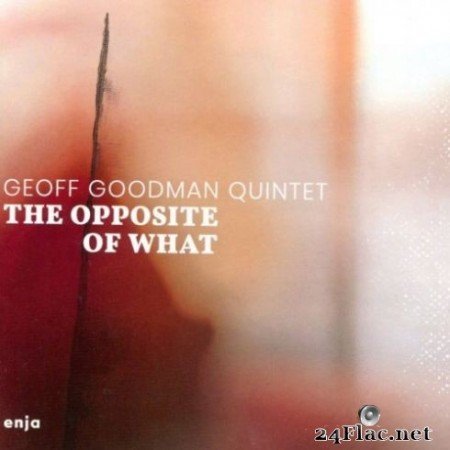 Geoff Goodman - The Opposite of What (2019)