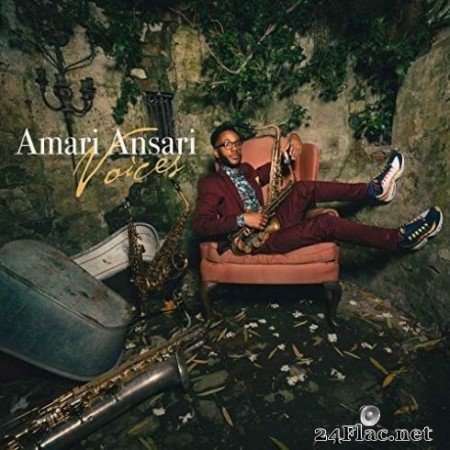 Amari Ansari - Voices (2019)