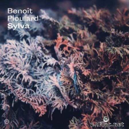 Benoit Pioulard - Sylva (2019)