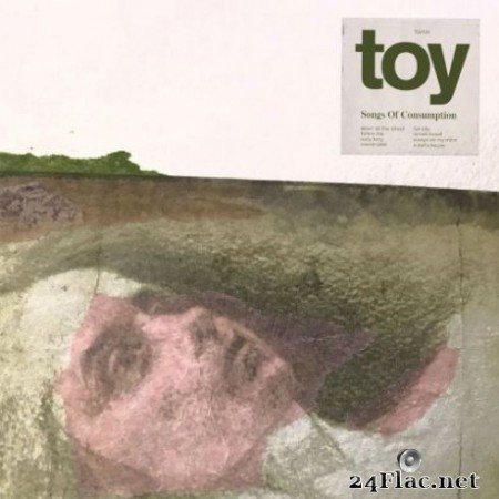 Toy - Songs of Consumption (2019)