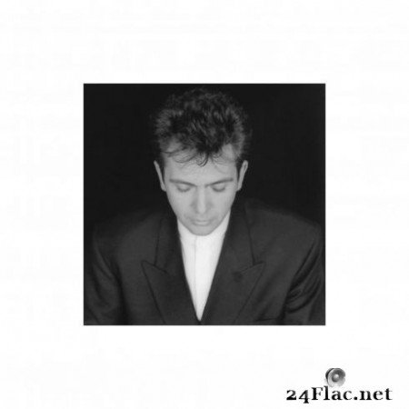 Peter Gabriel - Shaking The Tree - 16 Golden Greats (Remastered) (2019) Hi-Res