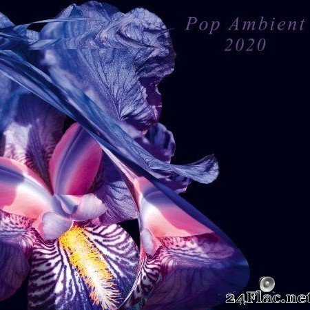 VA - Pop Ambient 2020 (2019) [FLAC (tracks)]