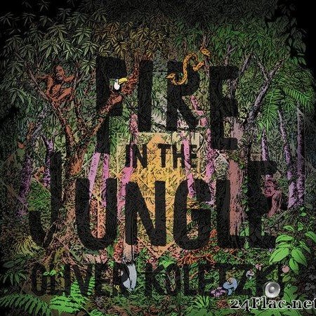 Oliver Koletzki - Fire In The Jungle (2019) [FLAC (tracks)]