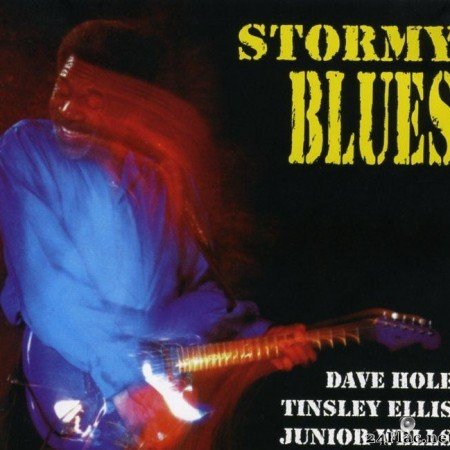 VA - Stormy Blues (2004) [FLAC (image + .cue)]