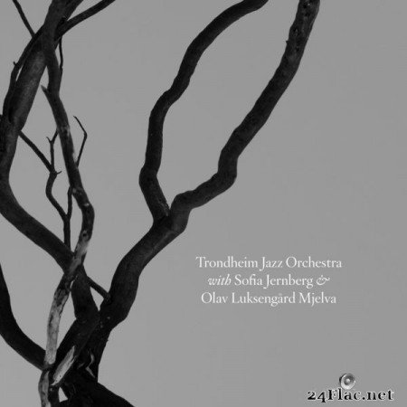 Trondheim Jazz Orchestra – Trondheim Jazz Orchestra with Sofia Jernberg & Olav Luksengård Mjelva (2019) [24bit Hi-Res]