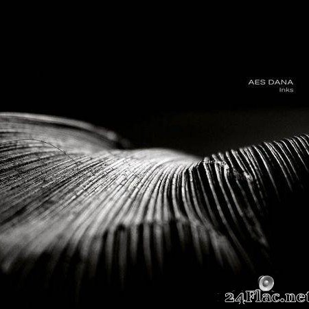 Aes Dana - Inks (2019) [FLAC (tracks)]