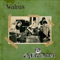 Walrus - Greater Heights (2019) FLAC