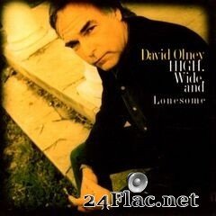 David Olney - High, Wide and Lonesome (2019) FLAC