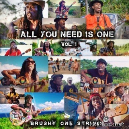 Brushy One String - All You Need Is One, Vol.1 (2019) FLAC