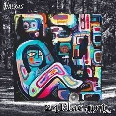 Walrus - Cool to Who (2019) FLAC