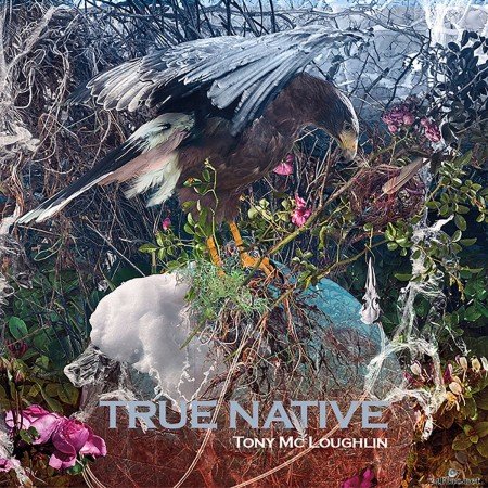 Tony McLoughlin - True Native (2019) FLAC