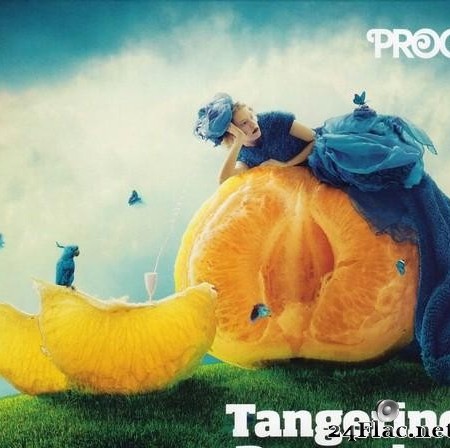 VA - Prog P15 - Tangerine Dreaming (2013) [FLAC (tracks + .cue)]