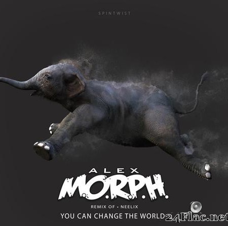 Neelix - You Can Change The World (Alex M.O.R.P.H. Remix) (2019) [FLAC (tracks)]