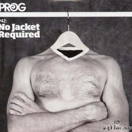 VA - Prog P42: No Jacket Required (2016) [FLAC (tracks + .cue)]