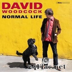David Woodcock - Normal Life (2019) FLAC