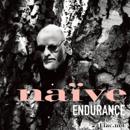 Naïve - Endurance (2020) Hi-Res