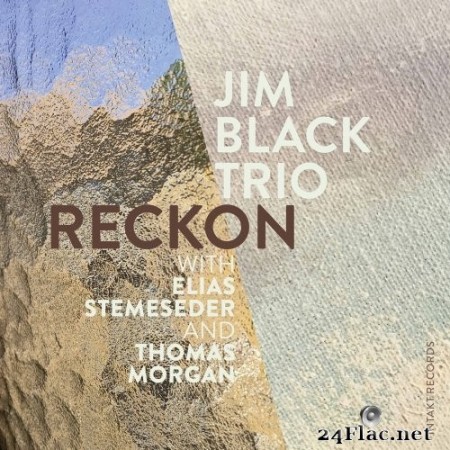 Jim Black Trio with Jim Black, Elias Stemeseder, Thomas Morgan - Reckon (2020) Hi-Res