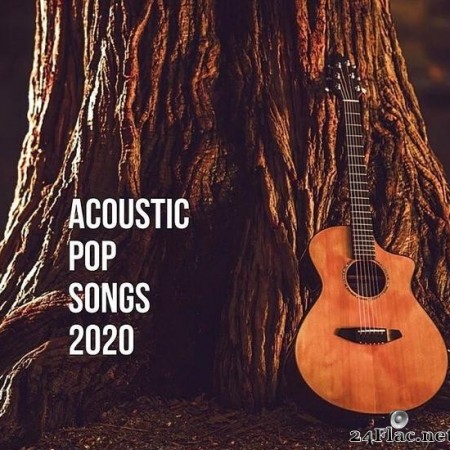 VA - Acoustic Pop Songs 2020 (2020) [FLAC (tracks)]