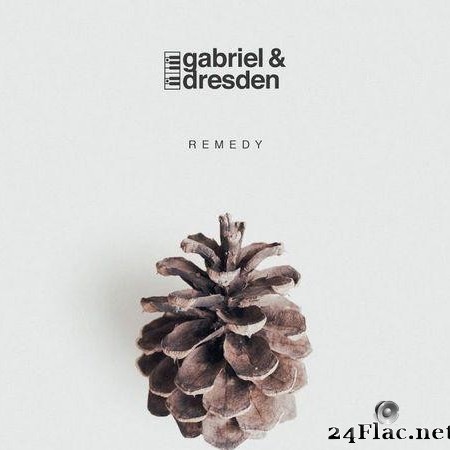 Gabriel & Dresden - Remedy (2020) [FLAC (tracks)]