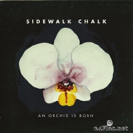 Sidewalk Chalk - An Orchid Is Born (2017/2019) Hi-Res