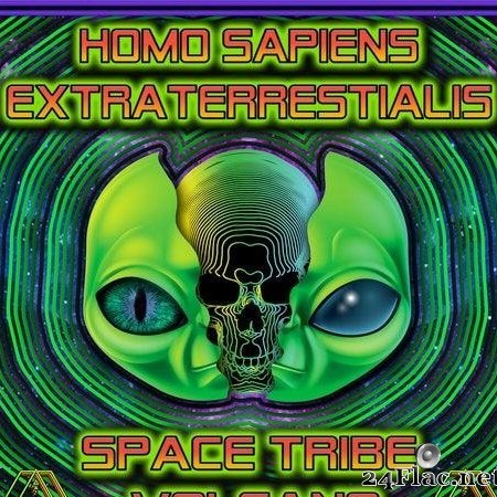 Space Tribe & Volcano - Homo Sapiens Extraterrestrials (2019) [FLAC (tracks)]