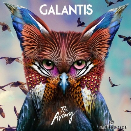 Galantis - The Aviary (2017) Hi-Res