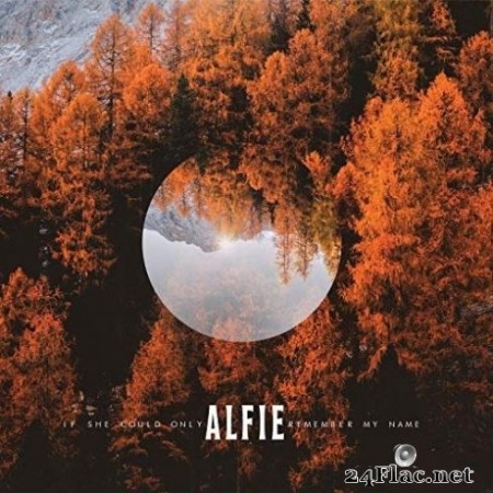 Alfie - If She Could Only Remember My Name (2020) FLAC