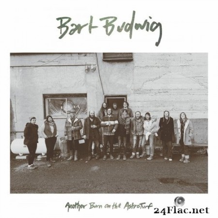 Bart Budwig - Another Burn on the Astroturf (2020) FLAC