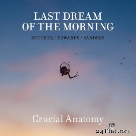 Last Dream of the Morning - Crucial Anatomy (2020) FLAC