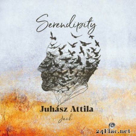 Juhász Attila Jack - Serendipity (2020) FLAC