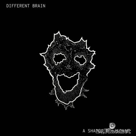 A Shadow of Jaguar - Different Brain (2020) FLAC